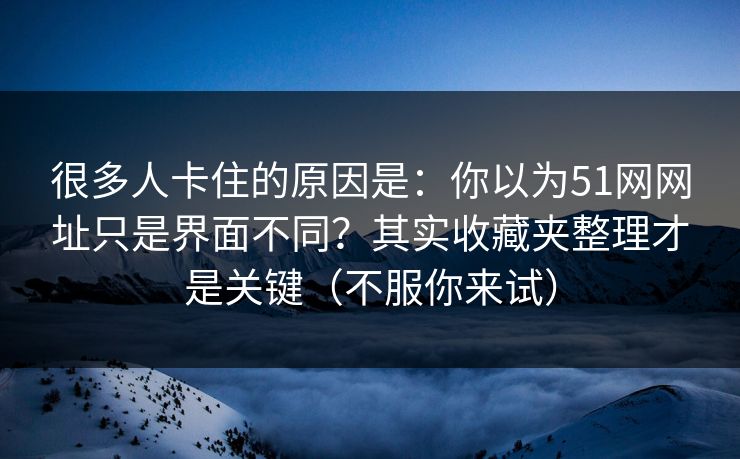 很多人卡住的原因是：你以为51网网址只是界面不同？其实收藏夹整理才是关键（不服你来试）