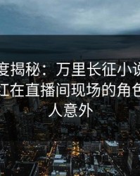 黑料深度揭秘：万里长征小说风波背后，网红在直播间现场的角色罕见令人意外