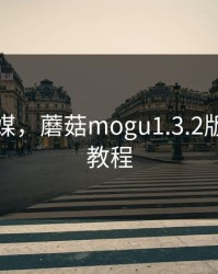 蘑菇传媒，蘑菇mogu1.3.2版本安装教程