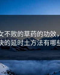 夜战十女不败的草药的功效，见效最快的延时土方法有哪些